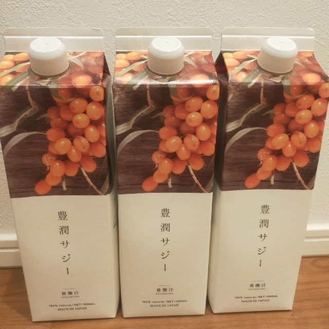 豊潤サジー フィネス1000ml 3本セット - 健康食品