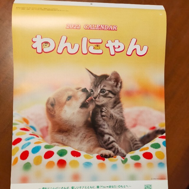 2022年　犬猫　大きめ　カレンダー エンタメ/ホビーのエンタメ その他(その他)の商品写真