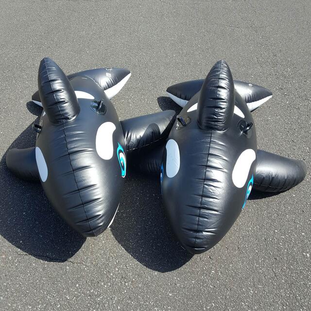 ビジョネア ビジョネア
