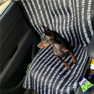 ペットシート 前後部防水パッド 犬 ペット用品 車用ペットマット(犬)