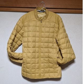 アークテリクス(ARC'TERYX)のアークテリクス　RICO JACKET(ダウンジャケット)