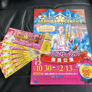 さくらサーカス奈良 公演特別招待券 割引き券 チケット6枚 チラシ1枚の ...