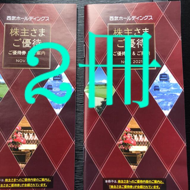 西武ホールディングス　株主優待 優待冊子　2冊　1000株