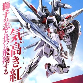 バンダイ(BANDAI)のMETAL BUILD ストライクルージュ オオトリ装備(アニメ/ゲーム)