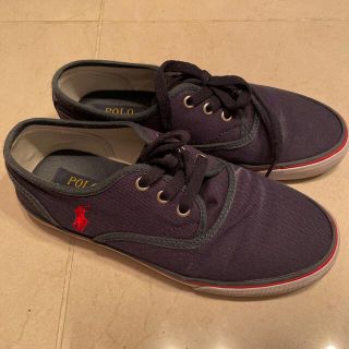 ポロラルフローレン(POLO RALPH LAUREN)のPOLOスニーカー　23.5cm(スニーカー)