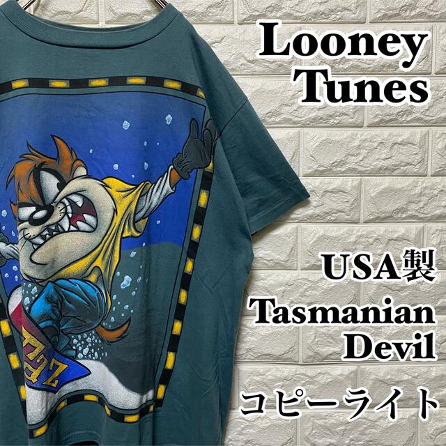 新品 Looney Tunes Taz タズ ロンT：SIZE=M - Tシャツ