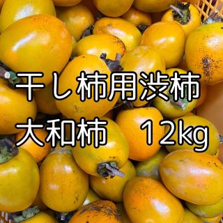 格安　徳島県産　干し柿用渋柿　大和柿　12kg(フルーツ)