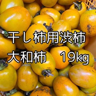 格安　徳島県産　干し柿用渋柿　大和柿　19kg(フルーツ)