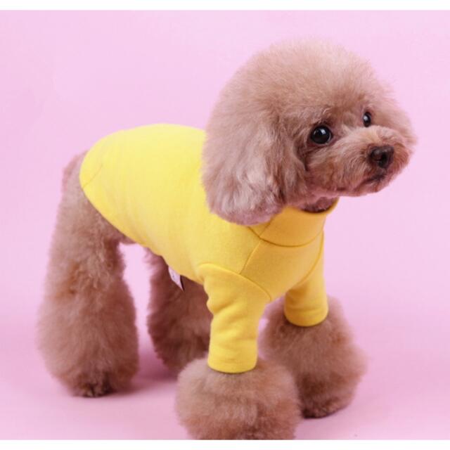 犬の服　BASIC   TOPs その他のペット用品(犬)の商品写真