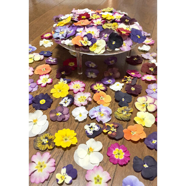 銀の紫陽花が作った彩りビオラ➕ふんわりプリムラ山盛り70冠‼️ ハンドメイドのフラワー/ガーデン(ドライフラワー)の商品写真