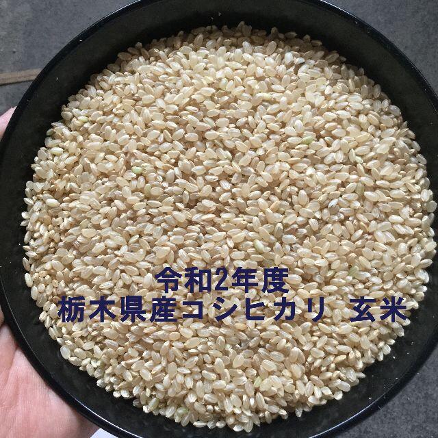 売り切り！令和2年産　栃木県産コシヒカリ　玄米20kg(精米可) 1