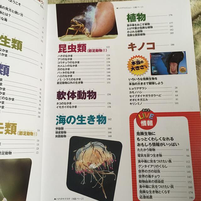 学研(ガッケン)の危険生物 エンタメ/ホビーの本(絵本/児童書)の商品写真