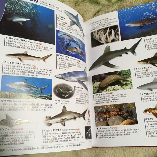 学研(ガッケン)の危険生物 エンタメ/ホビーの本(絵本/児童書)の商品写真