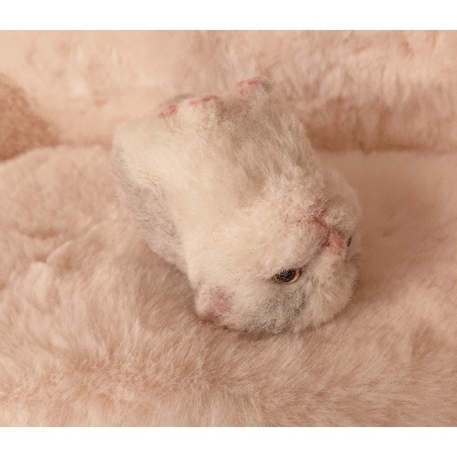 季節外れ ハンドメイド羊毛フェルト マンチカンの子猫の通販 By Asato S Shop ラクマ