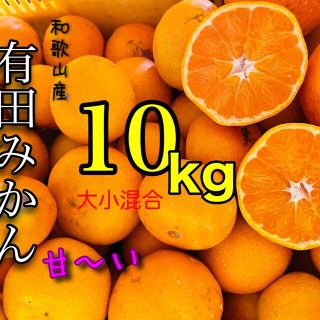 和歌山有田みかん大小ランダム混合10キロ(フルーツ)