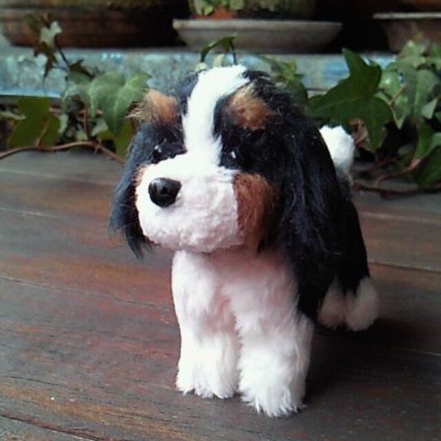手乗り犬☆キャバリア　トライ