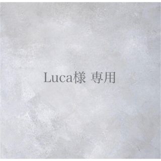 Luca様 専用(ピアス)