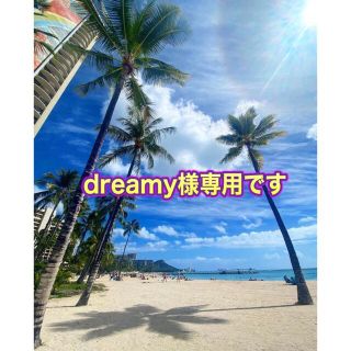 dreamy様専用です(バッグ)