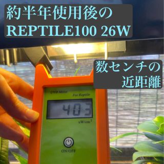 UVB 紫外線ライト 測定器 新品 動作確認済み 爬虫類 トカゲ