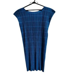 プリーツプリーズイッセイミヤケ(PLEATS PLEASE ISSEY MIYAKE)のプリーツプリーズ ワンピース サイズ3 L -(その他)