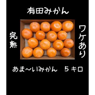 訳あり有田ミカン　5キロ　Sサイズ(フルーツ)