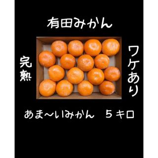 訳あり有田ミカン　Lサイズ　5キロ(フルーツ)