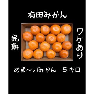 訳あり有田みかん　Sサイズ　5キロ(フルーツ)