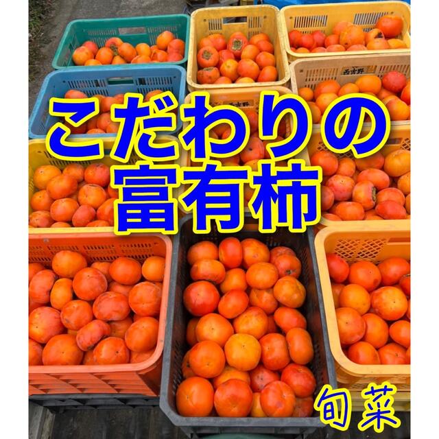 柿　富有柿　約8キロ  九度山産　ハネダシ 食品/飲料/酒の食品(フルーツ)の商品写真