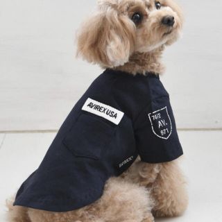 アヴィレックス(AVIREX)のＡVＩＲＥＸ犬服　アヴィレックスＴシャ３L  (犬)