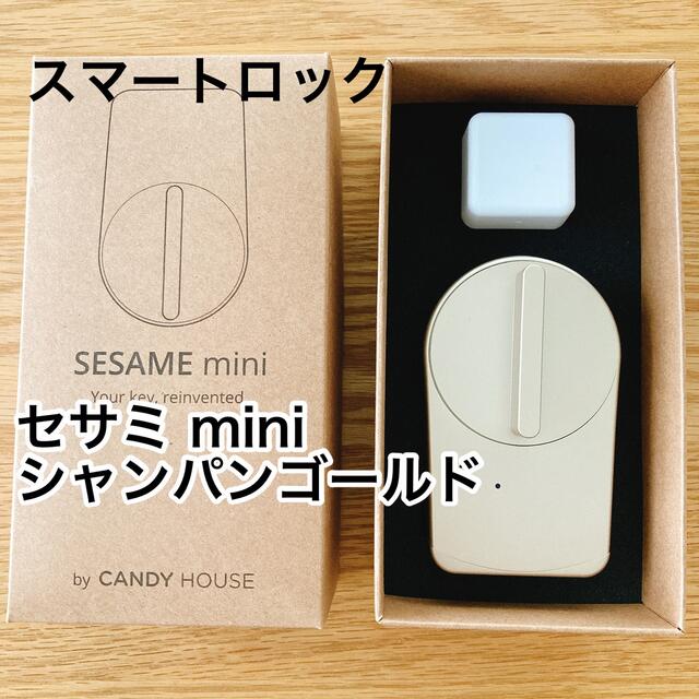 SESAMI miniとWi-Fiアクセスポイント