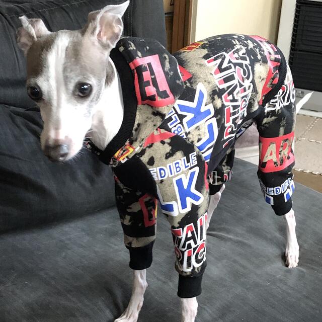 85%以上節約 まひる様専用 イタグレ服ハンドメイド tco.it