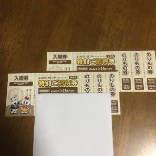 よみうりランド　特別招待券(遊園地/テーマパーク)