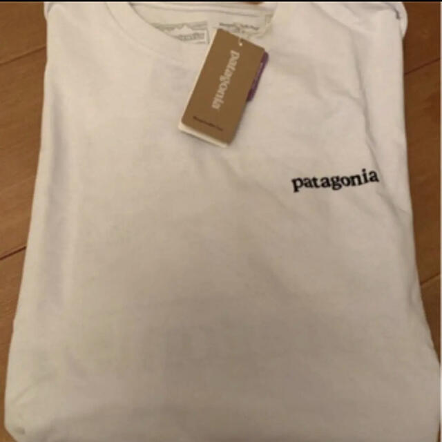 patagonia(パタゴニア)のパタゴニア　ロングスリーブ・ライン・ロゴ・リッジ・レスポンシビリティー　S メンズのトップス(Tシャツ/カットソー(七分/長袖))の商品写真