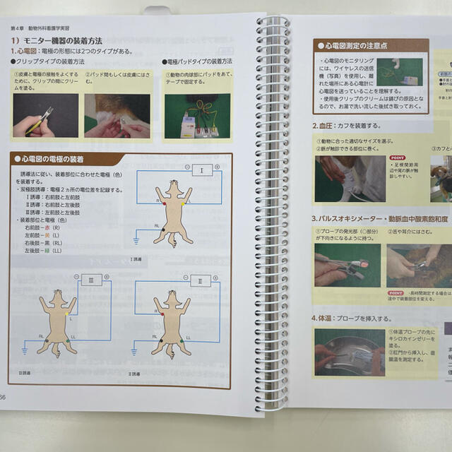 【新品未使用】動物看護実習テキスト エンタメ/ホビーの本(語学/参考書)の商品写真