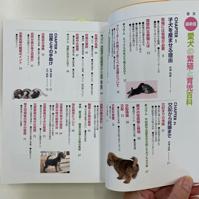 【新品未使用】愛犬の繁殖と育児百科 エンタメ/ホビーの本(語学/参考書)の商品写真