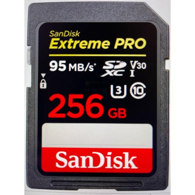 ■SANDISK　SDSDXXG-256G-JNJIP [256GB]