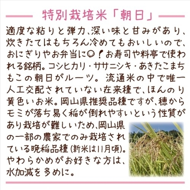 ☆令和3年新米☆希少米もこの価格で！岡山県_特別栽培米【れんげ朝日】10kg 食品/飲料/酒の食品(米/穀物)の商品写真