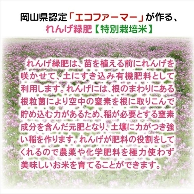 ☆令和3年新米☆希少米もこの価格で！岡山県_特別栽培米【れんげ朝日】10kg 食品/飲料/酒の食品(米/穀物)の商品写真