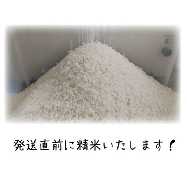 ☆令和3年新米☆希少米もこの価格で！岡山県_特別栽培米【れんげ朝日】10kg 食品/飲料/酒の食品(米/穀物)の商品写真