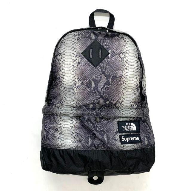 Supreme(シュプリーム)のSupreme THE NORTH FACE Snakeskin DayPack メンズのバッグ(バッグパック/リュック)の商品写真