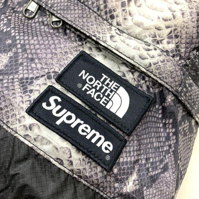 Supreme(シュプリーム)のSupreme THE NORTH FACE Snakeskin DayPack メンズのバッグ(バッグパック/リュック)の商品写真