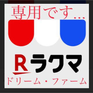 あーひー様専用　こがねLサイズ10キロ 紅たまごサイズ3キロ(野菜)