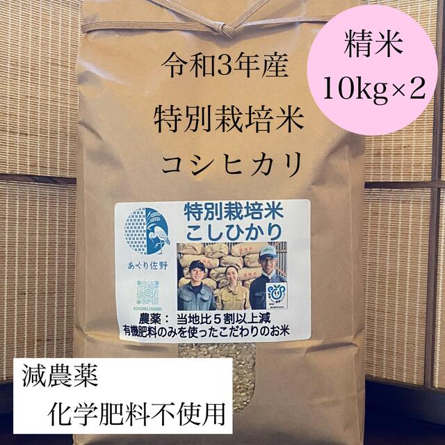 特別栽培米コシヒカリ　令和3年新米　精米10kg×2　減農薬有機肥料100%　米/穀物