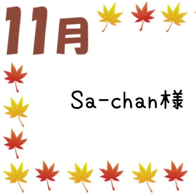 62％以上節約 Sa-chan 様専用 champs21.com