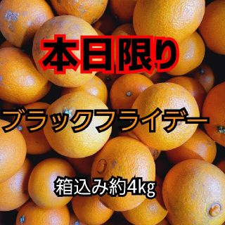愛媛県産　愛果28号　箱込み約4㎏　訳あり　柑橘　まどんな　マドンナ(フルーツ)