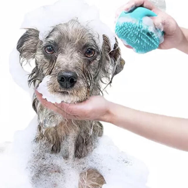 犬 シャンプー ブラシ ボディブラシ ペット お風呂 映え お風呂 その他のペット用品(犬)の商品写真