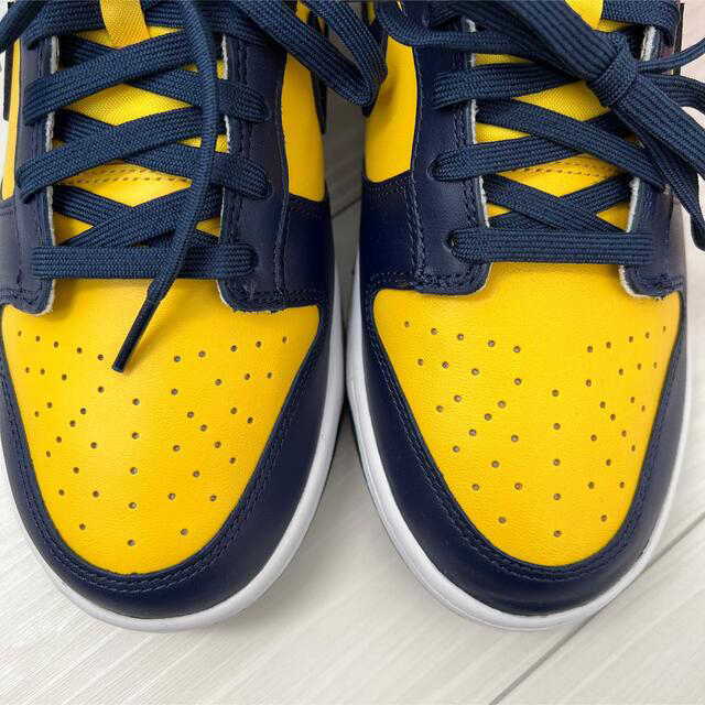 NIKE(ナイキ)の【✨極美品‼️】NIKE DUNK LOW MICHIGAN メンズの靴/シューズ(スニーカー)の商品写真