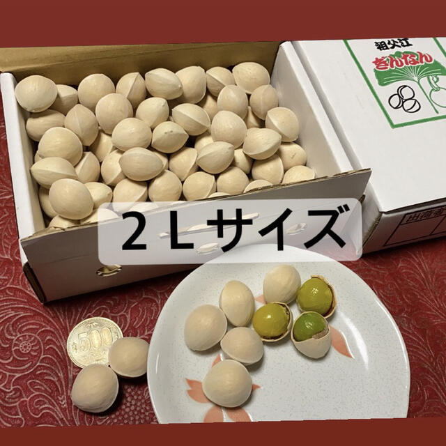 祖父江銀杏　久寿　2Lサイズ 食品/飲料/酒の食品(野菜)の商品写真