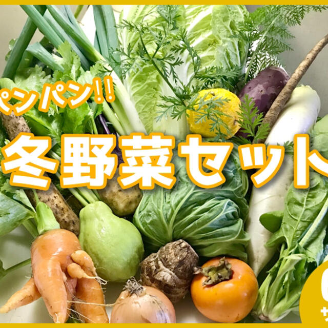 野菜詰め合わせセット　今週日曜の採りたて野菜を60サイズ 食品/飲料/酒の食品(野菜)の商品写真