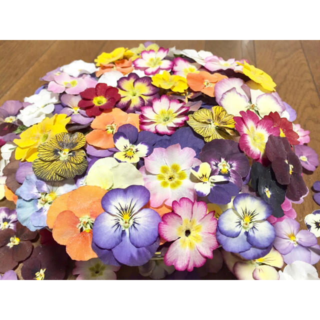 銀の紫陽花が作った彩りビオラとふんわりプリムラの山盛り70冠‼️ ハンドメイドのフラワー/ガーデン(ドライフラワー)の商品写真